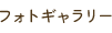 フォトギャラリー